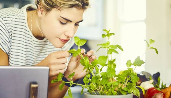 'Smell training' recommended for Covid recovery
