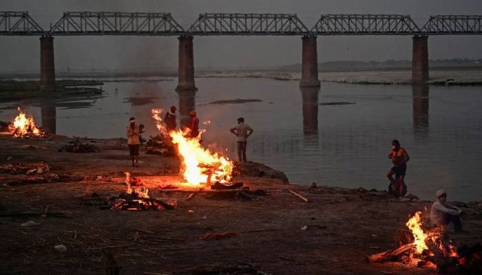Dozens more bodies wash up on Ganges river bank