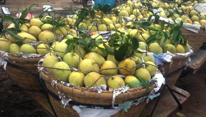 Mango special train on Chapainawabganj-Dhaka route likely from May 25