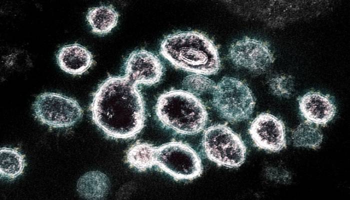 Coronavirus variants get new names