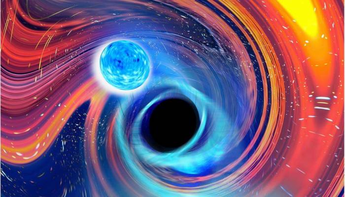 Rare black hole and neutron star collisions sighted