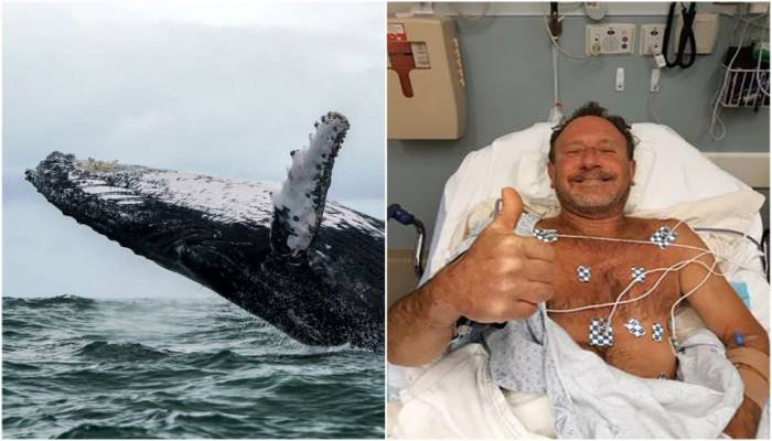 'Oh my God, I'm in a whale's mouth'