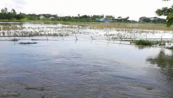 Flash flood may hit country’s northern region: FFWC