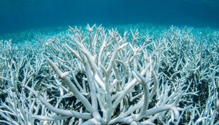 Australia pledges to reach net zero emissions by 2050