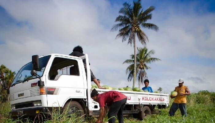 Tonga faces lockdown after first Covid case detected