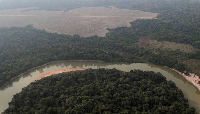 Amazon deforestation surges to 15-year high