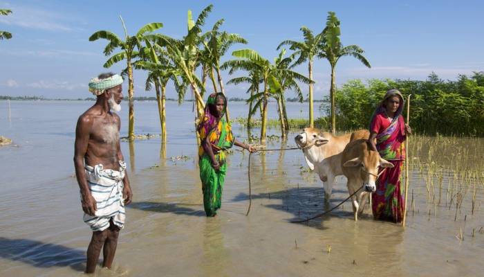 UK pledges £290m to help poorer countries cope with climate change