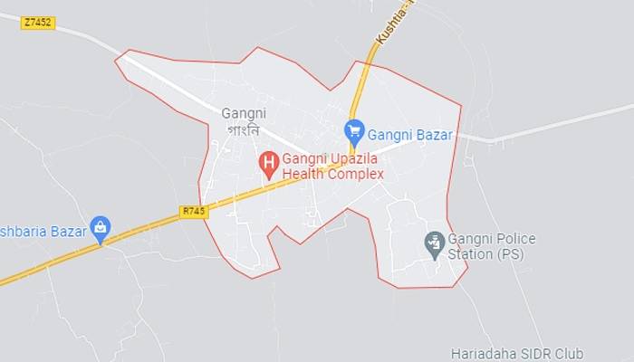 2 brothers killed in Gangni election clash