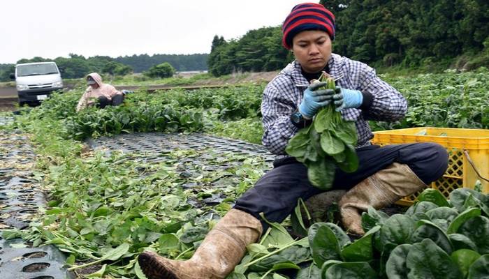 Japan looking to accept more foreigners