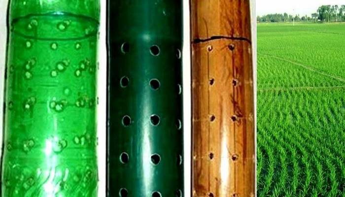 AWD irrigation tech in Boro rice farming saves 30pc water