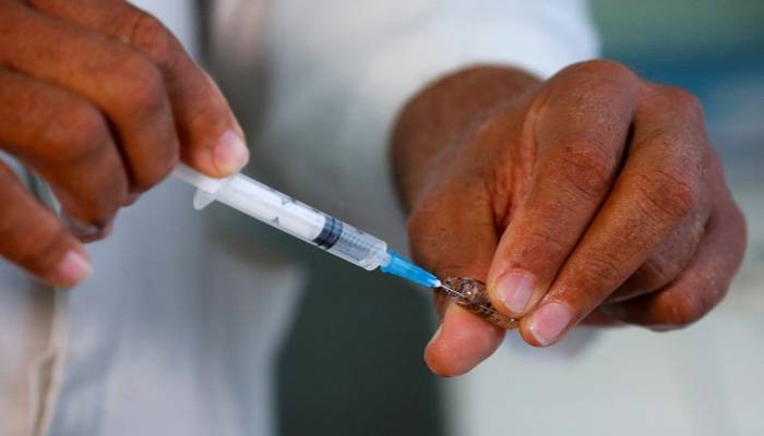 Malaria deaths rise by 69,000 in 2020 due to COVID-19 disruptions, says WHO