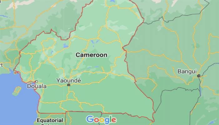 6 killed in Cameroon stadium stampede