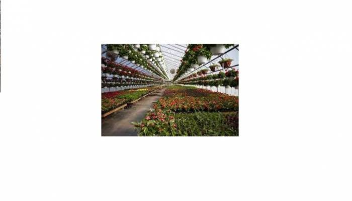 CU establishes green house to develop climate-tolerant crops