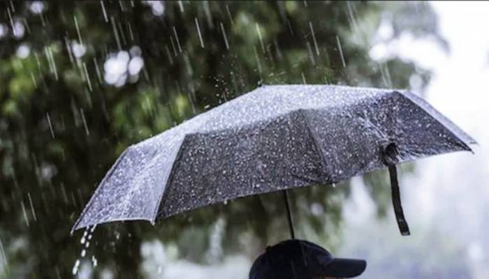 Rain with temporary gusty wind likely