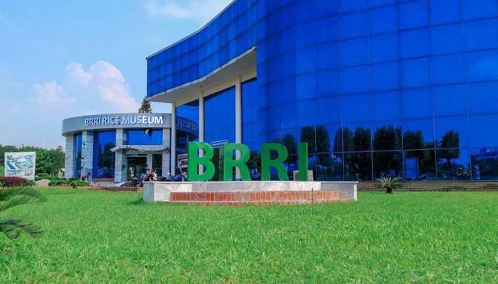 BRRI opens a rice museum in Gazipur