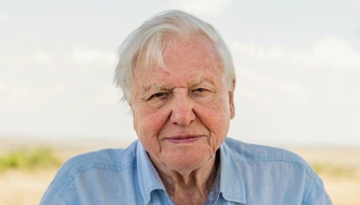 Sir David Attenborough named Champion of the Earth
