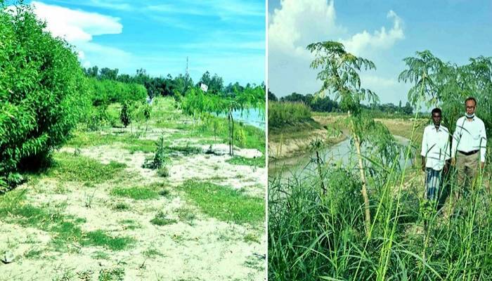 Revival of ecosystems improving environment in greater Rangpur