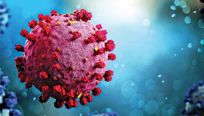 45 Covid cases recorded in 24 hours