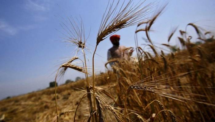 World Bank to give $30bn to shore up food security