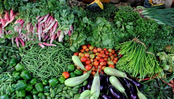 Netrakona DAE targets to produce 89,646 tonnes summer vegetables
