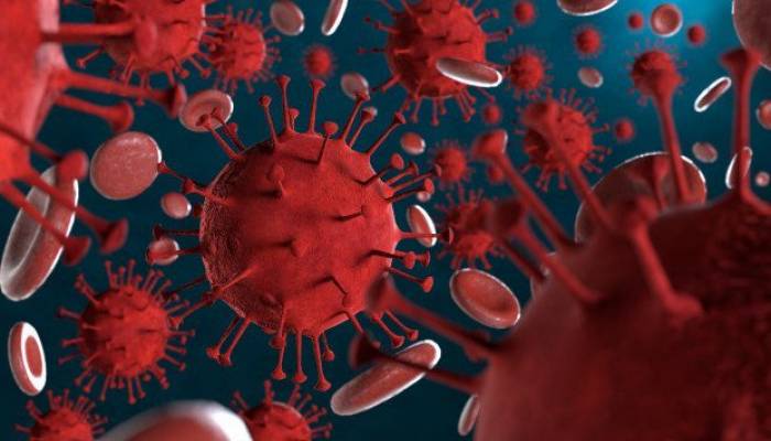 162 new COVID cases, no deaths