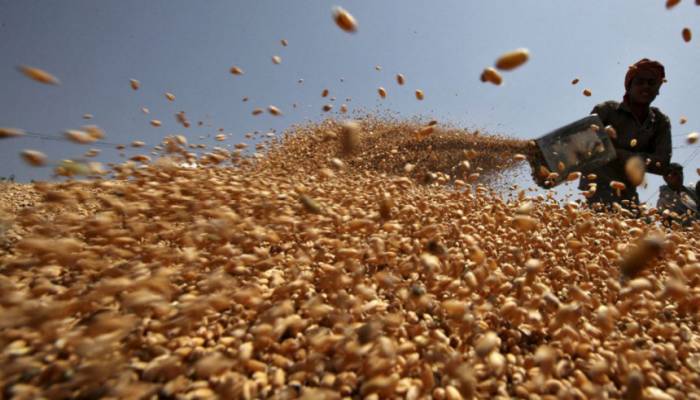 India considers wheat exports to Bangladesh, four other countries: reports