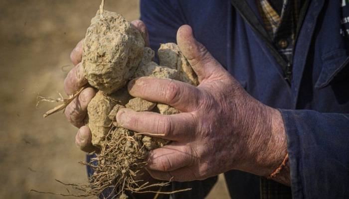 Drought emergency declared in northern Italy