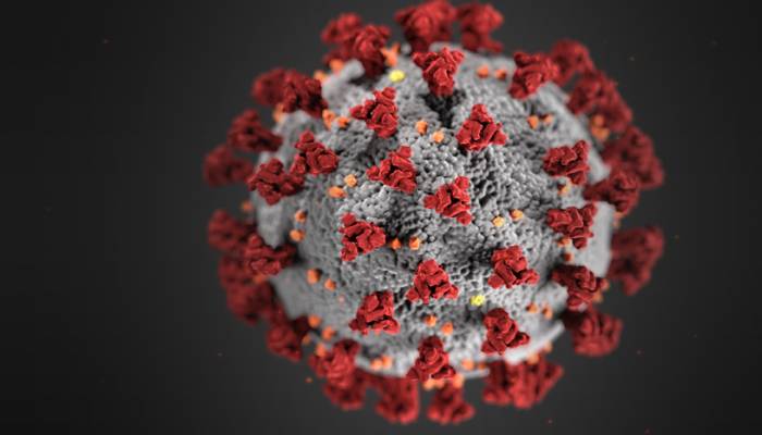 Four Covid-19 deaths, 1,728 positive cases