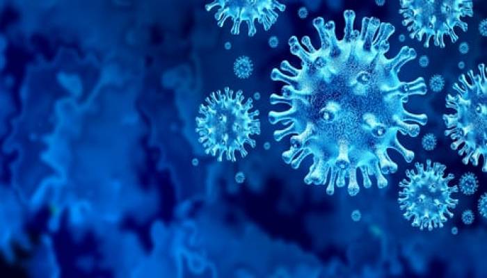 1,072 COVID cases, 7 deaths in a day