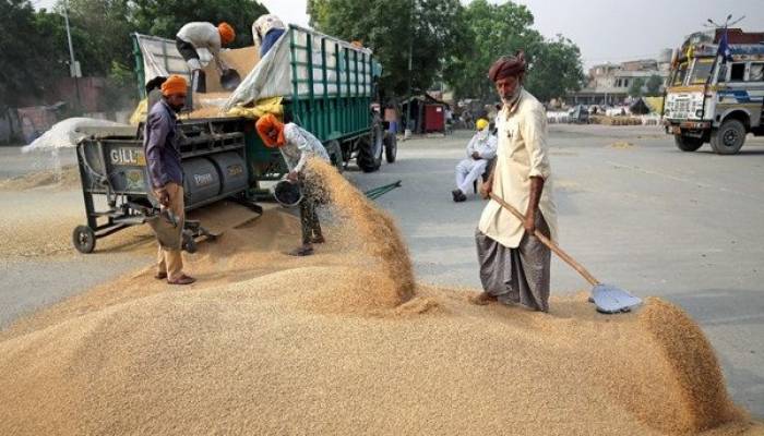 India now restricts exports of flour, other derivatives