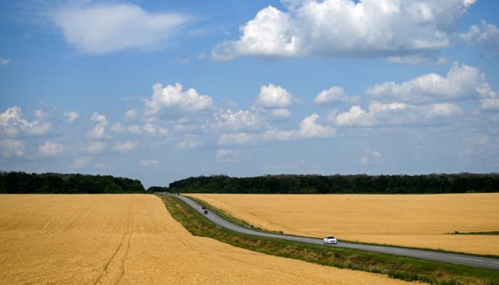 Wheat prices rise in global market