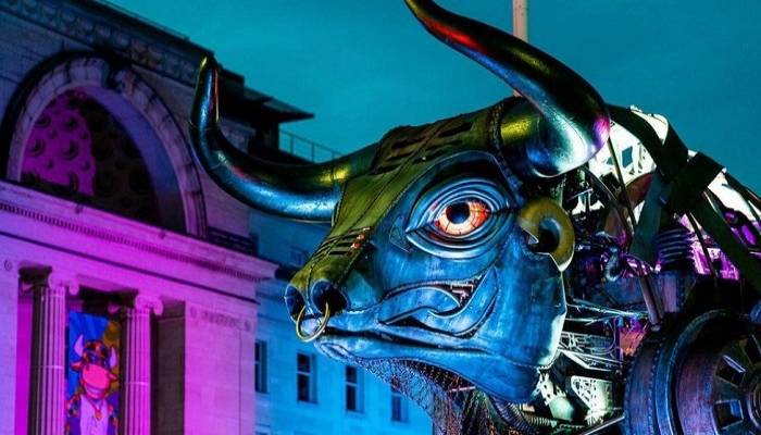 Birmingham bull: Photographers share images on Instagram