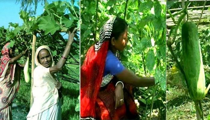 Experts for ensuring best use of land amid changing climate