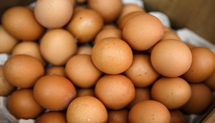 China heat wave pushes up prices as hens lay fewer eggs