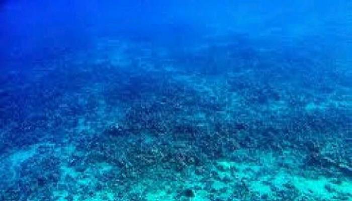 UN session on high seas biodiversity ends without agreement