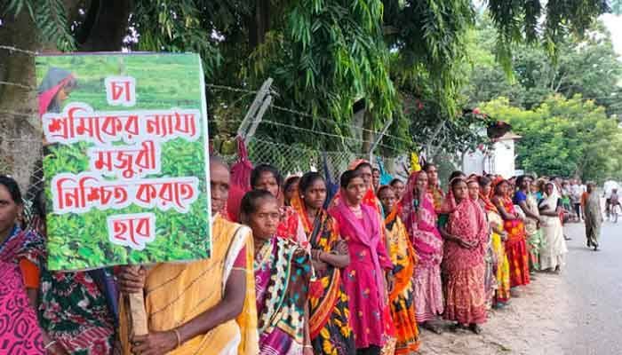 Indefinite strike going on in tea gardens