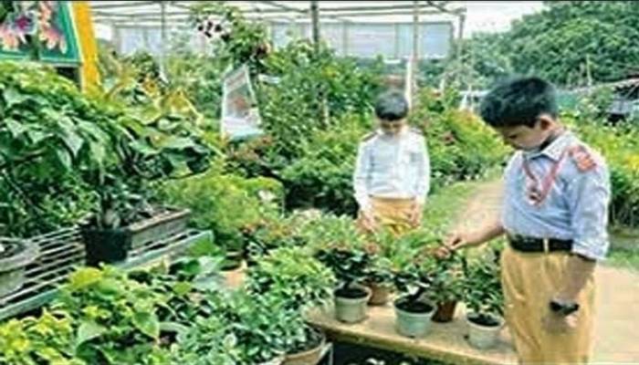 Call for massive tree plantation to adapt to climate change