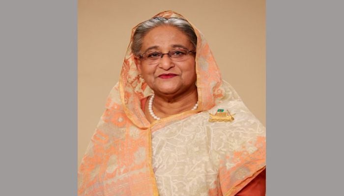 Academics laud Sheikh Hasina's efforts to implement Liberation War spirit 