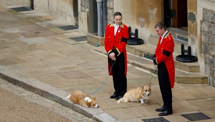 Queen's pet corgis and pony say final goodbye to their owner