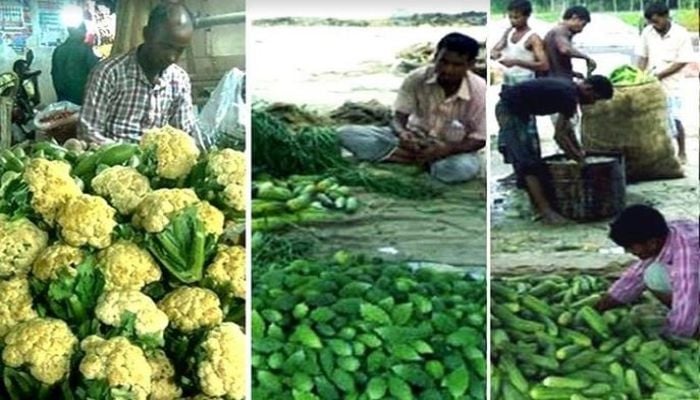 Excellent output, fair price of Kharif-1 vegetables in Rangpur