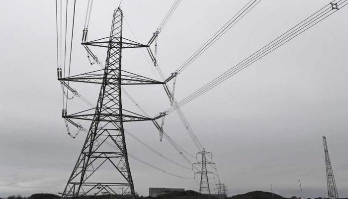 Renewables grow to meet global electricity demands: study