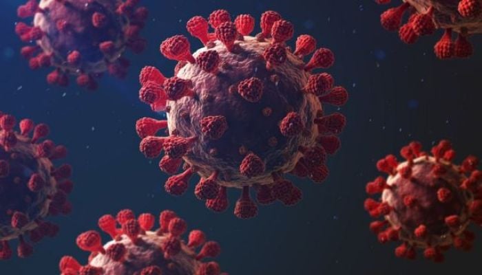 Six Covid-19 deaths, 351 positive cases reported