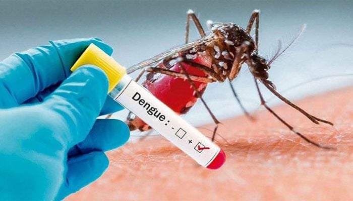 3 dengue patients die, 899 hospitalized in 24 hrs
