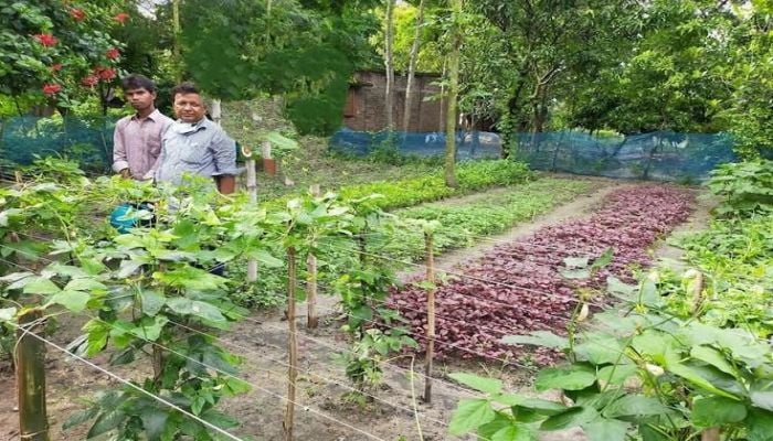 Homestead gardening contributes to Rajshahi's rural economy