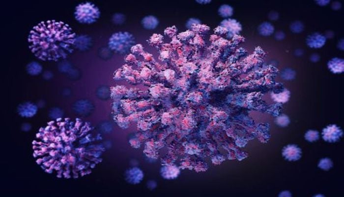 Two Covid-19 deaths, 460 positive cases