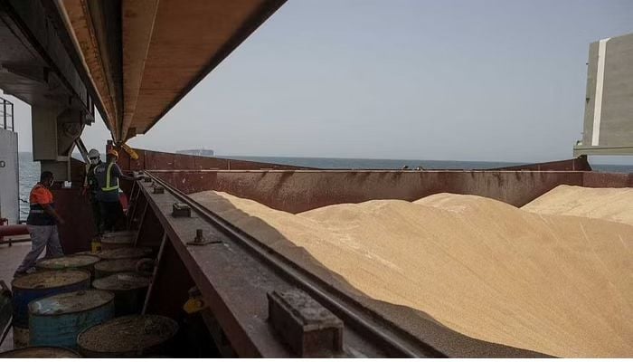 UN wants Ukraine, Russia to extend Black Sea grain, fertiliser export deal