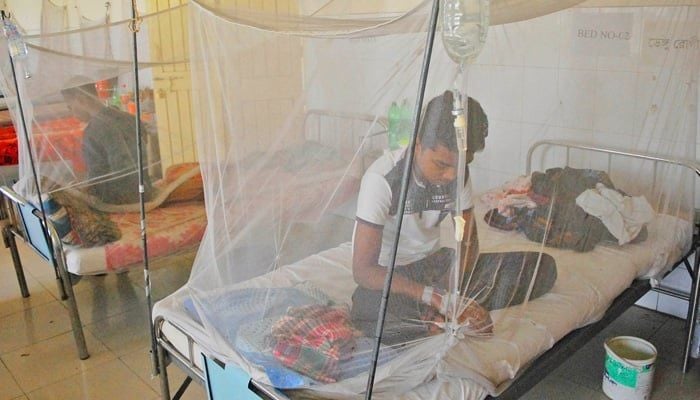 Five dengue patients die, 788 hospitalized in 24 hrs