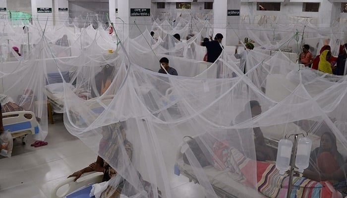 Record 182 dengue deaths in 2022