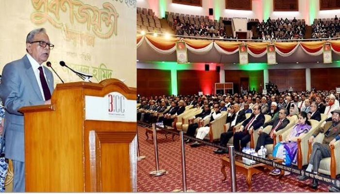 Remain alert against anti-constitutional activities: President