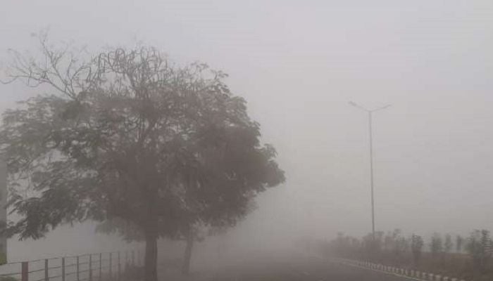 Mild cold wave likely to continue